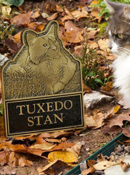 Pet Memorial Gallery