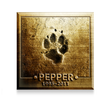 Pet Memorial
